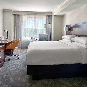 Suite de 1 Dormitorio y Cama King